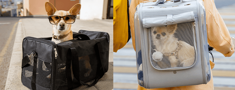 Pet Bags Vs. Pet Carriers: Which One Suits Your Needs?